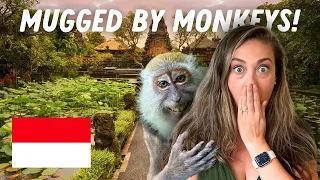 BEWARE of the MONKEYS - Exploring UBUD 🇮🇩 Bali Travel Vlog