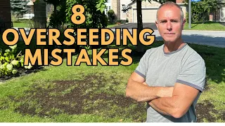 8 Mistakes to Avoid When Overseeding Your Lawn