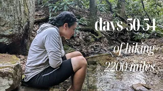 spring is coming! + first bear encounter | days 50-54 of thru hiking the Appalachian Trail