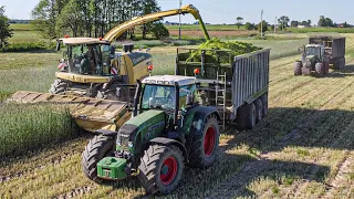 Żyto Na Kiszonkę 2023 ☆ 2x Fendt ☆ 3X Fliegl ☆ John Deere ☆ Krone ☆ AGRO TEAM ☆