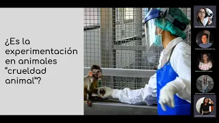 Debate sobre la experimentación animal