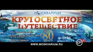 Рекламный ролик № 2 Шоу-программа "Кругосветное путешествие" МОСКВАРИУМ