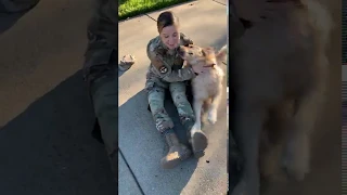 Soldier Reunites With Dog After 6-Month Deployment