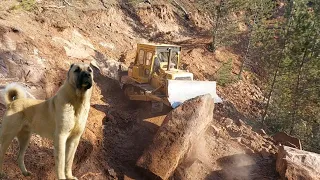 CAT D7 DOZER ORMAN CANAVARI, FOREST MANSTER _BÜYÜK KAYALAR _BİG ROCK #keşfet #buldozer #cat #dozer