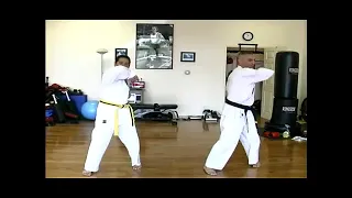 Learn Basic Kyokushin Karate Moves