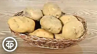 Селекционер картофеля Александр Лорх. Время. Эфир 27 мая 1979
