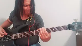 I Don't Want To Talk About It - Rod Stewart (Bass Cover)