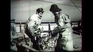 La grande pêche à la Morue - 1950 - Terre-Neuvas