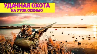 ОХОТА на УТОК поздней осенью на большом озере. Кряквы и свиязи.