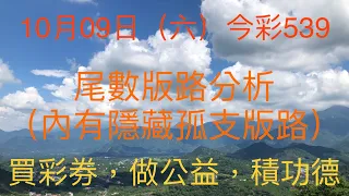 今彩539｜牛哥539｜2021年10月09日（六）今彩539尾數版路分析內含隱藏版路（🎉恭喜上期尾數版路全壘打：1尾、3尾、7尾「共開四個號碼」🎉）