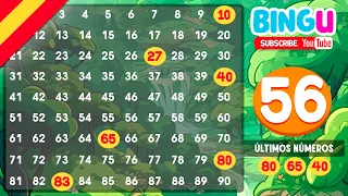 La Magia del Bingo en Casa: 90 Bolas y Diversión 🌟🏠