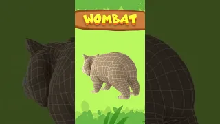 The Wombat - Leo The Wildlife Ranger