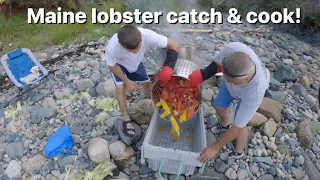 Maine lobster catch and cook over the fire on remote Maine island! 🦞