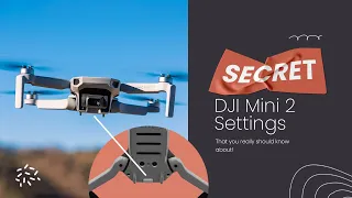 DJI MINI 2 Secret Settings 1.4.3