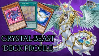 Crystal Beast Deck Profile! *MAY 2024*