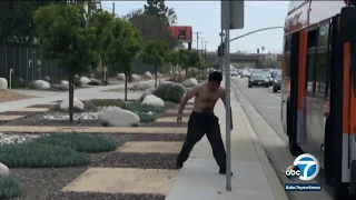 Bystanders take down shirtless man who was throwing rocks at cars in Mid-City LA | ABC7