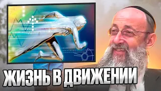 Жизнь в движение. Рав Ашер Кушнир