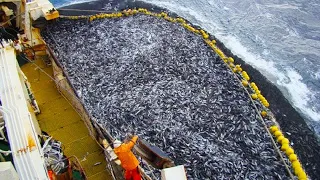 15 Most Surprising Fishing Moments In The World