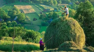 Ворошилка сена. Почему не снимаю. Культура производства.