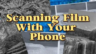 Film Photography / Scanning Film at Home / Can You Scan Negatives With a Phone?