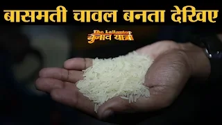 Separating Rice from Paddy | Rice Husking | Basmati Rice | Karnal | Rice Bowl Of India