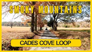 Cades Cove Loop In the Smokies: A Drive You Have to See to Believe