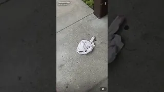 Snapmaps Discoveries: Homeless Underwear #shorts