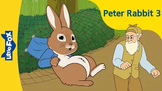 Peter Rabbit 3 | Stories for Kids | Classic Story | Bedtime Stories