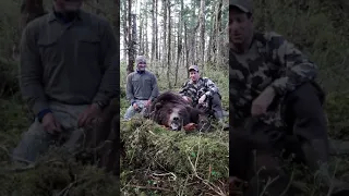 Huge Coastal Grizzly Bear Hunt