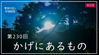 第230回「かげにあるもの」2021/8/24【毎日の管長日記と呼吸瞑想】｜ 臨済宗円覚寺派管長 横田南嶺老師