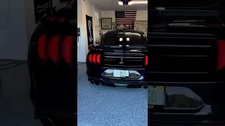 Shelby GT500 Cold Start 🥵🏎️