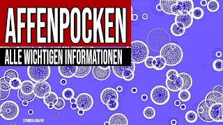 Affenpocken - Alle wichtigen Informationen