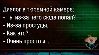 🔥Осмотрев Пациента Врач...Большой Сборник Весёлых Анекдотов ,Для Супер Настроения!