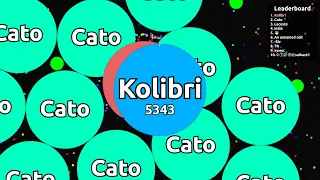 Agario Popsplit Fails 🤪 Peaceful Agar.io Solo Gameplay