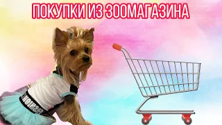 Покупки из зоомагазина // Амуниция waudog // Одежда и другое // Конкурс