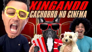 XINGANDO LEVAR CACHORRO NO CINEMA -  Irmãos Piologo Filmes