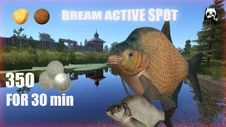 Russian Fishing 4 RF4 Old Burg Lake | Super active spot Bream + Trophy |