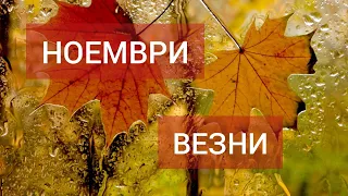 ВЕЗНИ ♎ Таро прогноза за НОЕМВРИ