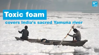 India: Toxic foam coats sacred river as Hindus bathe in its waters • FRANCE 24 English