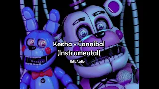 Kesha - Cannibal (Instrumental) (Edit audio)