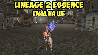 Гайд на ШЕ 2023. Стань лучшим Жрецом Шилен в Lineage 2 Essence.