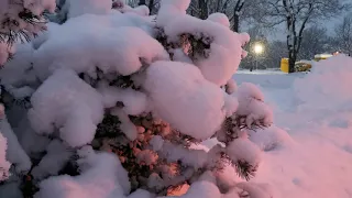 Падает, падает снег... Красивый снегопад /Таллинн Эстония / Amazing Winter/ #snow #tallinn #estonia