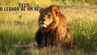 CECIL O legado de um rei em HD 2022