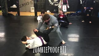 Savage Ankle Lock vs DLR - ZombieProofBJJ (Gi)
