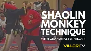 Shaolin Monkey Technique Taught by Grandmaster Fred Villari