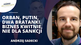 W co gra Viktor Orban w sprawie Ukrainy? | Andrzej Sadecki