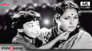 4K Video Song | दादी अम्मा, दादी अम्मा, मान जाओ | Daadi Amma Daadi Amma Maan Jao Classic Hindi Song