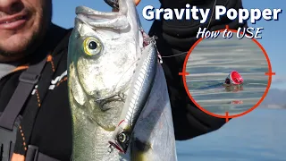 Catch More Fish with THIS Mind-Blowing Popper!  The Secrets of Gravity Popper Revealed!