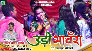 उड़ी भावँरा || Singer Anjana Devi || ठेठ नागपुरी वीडियो || Dhanapali Program Theth Nagpuri Song 2024