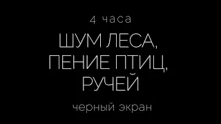 🌿Лес, ручей и пение птиц | Черный экран | Концентрация внимания, медитация, учеба